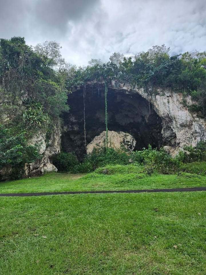 Puerto Rico Cave 02 2026